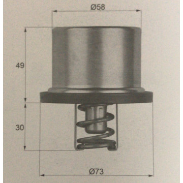 Termostato 2409.75 BEHR