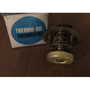 Termostato B296.82 THERMO-SIL