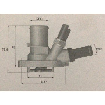 Termostato DTM88741 DENSO